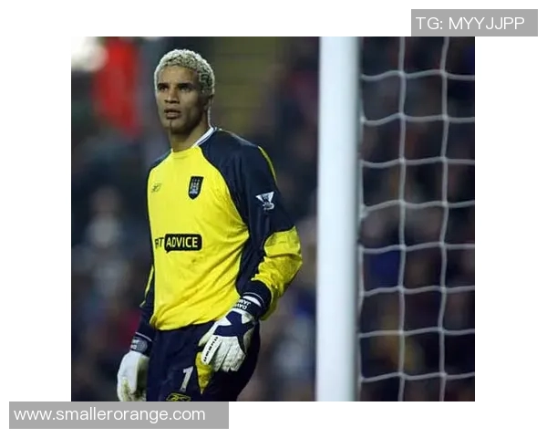 英格兰足球国家队的辉煌历程与未来展望分析 英格兰足球国家队的辉煌历程与未来展望分析