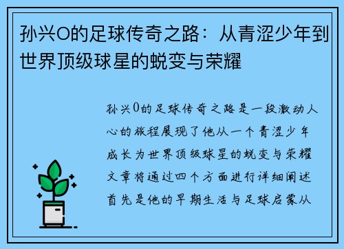 孙兴O的足球传奇之路：从青涩少年到世界顶级球星的蜕变与荣耀