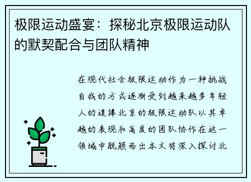极限运动盛宴：探秘北京极限运动队的默契配合与团队精神
